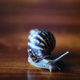 Image for article titled It is time to meet the "zombie snail," which is somehow even worse than it sounds